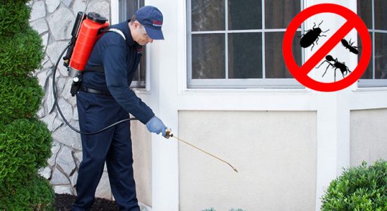 Keban Kemirgen İlaçlama böcek ilaçlama ve haşere kontrolü — ilaclama-tr.com